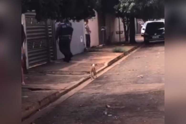 Policiais tentam encontrar o suspeito