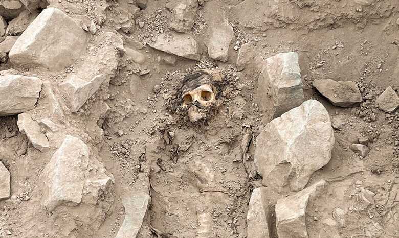 Múmia encontrada no Peru