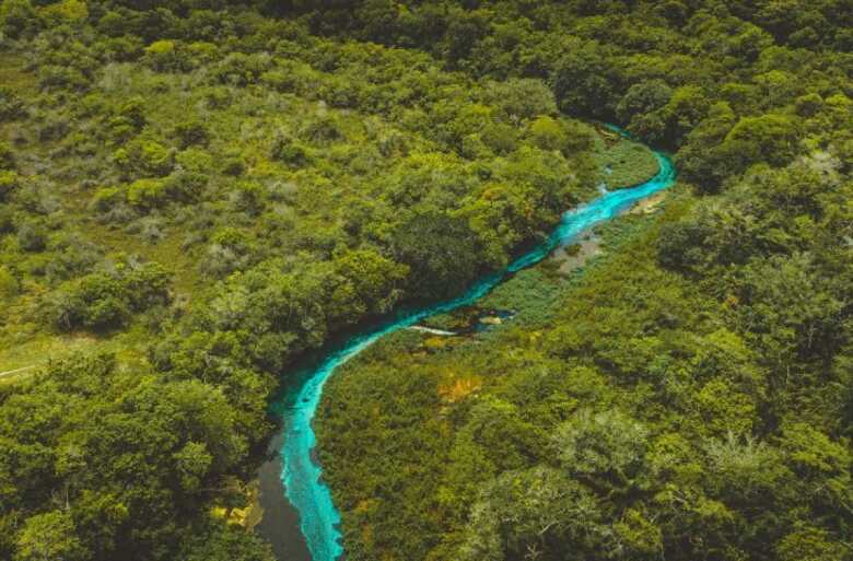 Em n&iacute;vel nacional o desmatamento teve aumento de 22,3% em 2022