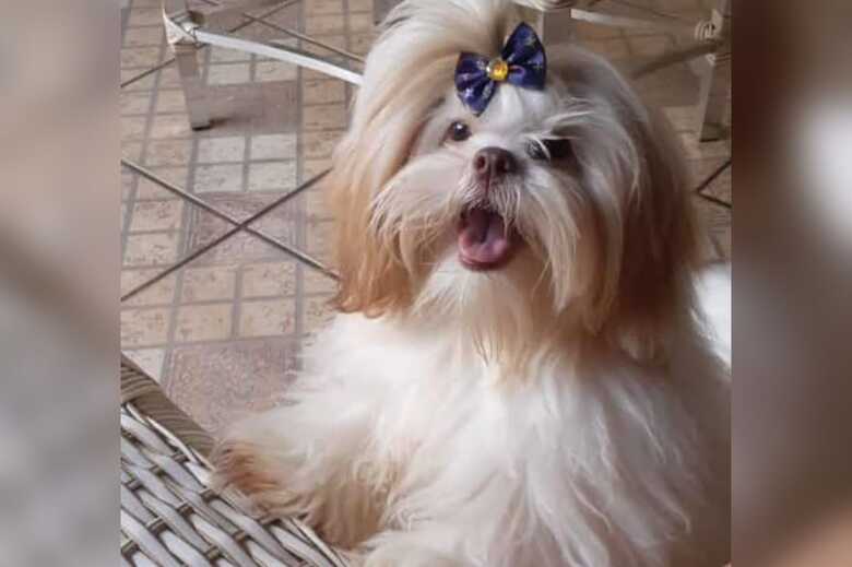 Cachorrinha Megui