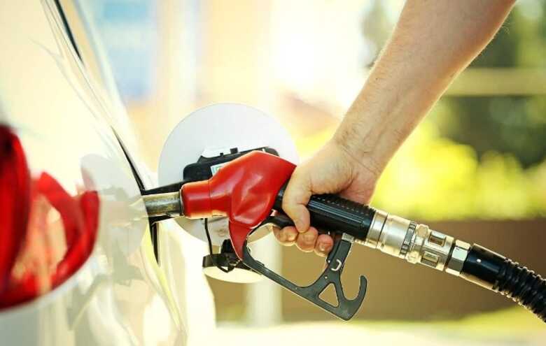 Imagem: Pavel Kubarkov / Shutterstock.com