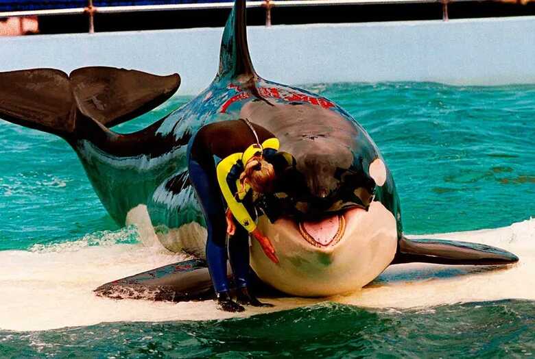 Lolita morreu na sexta-feira (18)
