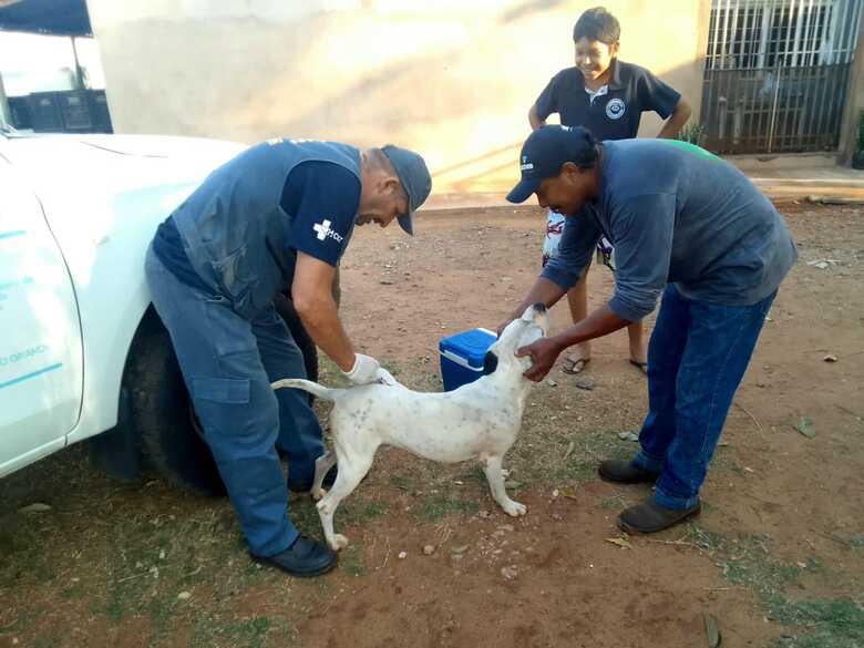 A a&ccedil;&atilde;o faz parte da Campanha de Vacina&ccedil;&atilde;o Antirr&aacute;bica 2023