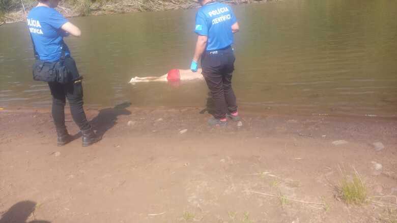 Divulga&ccedil;&atilde;o