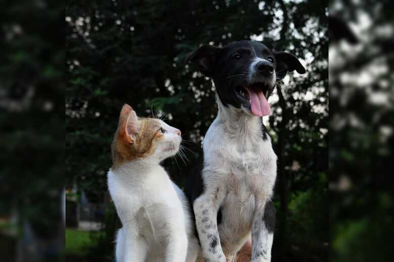 Foto: Anusha Barwa/Unsplash