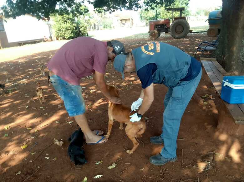 Agentes passam de casa em casa para aplicar a vacina nos animais