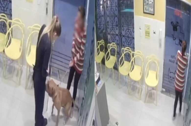 O caso aconteceu em S&atilde;o Jos&eacute; dos Campos,&nbsp;S&atilde;o Paulo