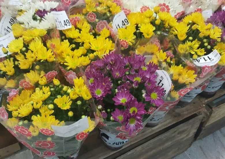 Venda de flores neste Dia de Finados