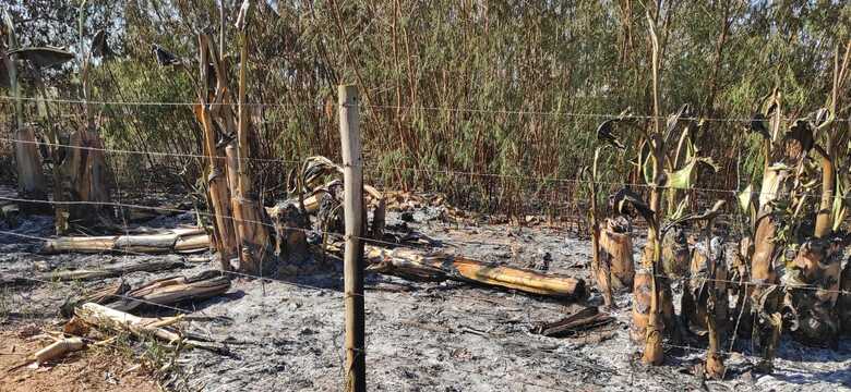 Local onde corpo do idoso foi encontrado.