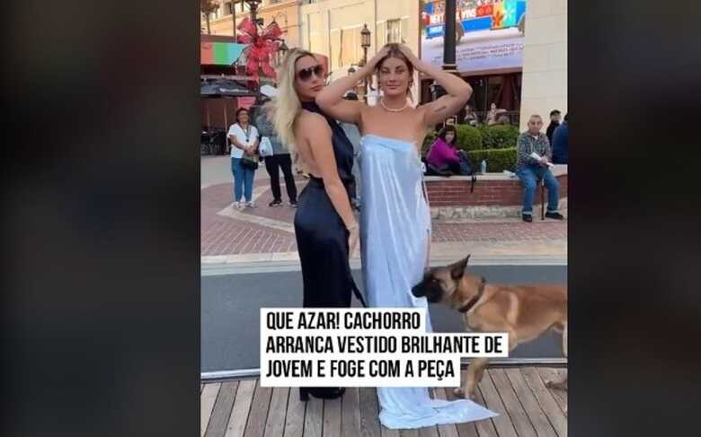 O animal foge com o vestido na boca enquanto a mulher tenta apanh&aacute;-lo.