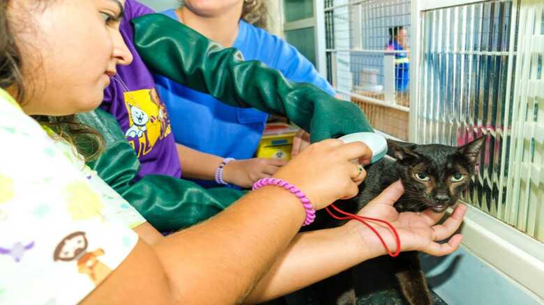 Subea em A&ccedil;&atilde;o no Bairro Nova Lima