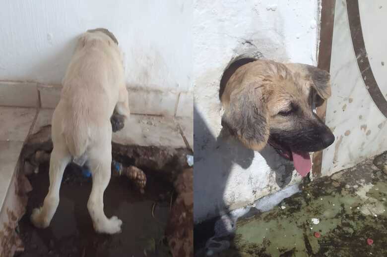 Divulga&ccedil;&atilde;o/CBM Corumb&aacute;