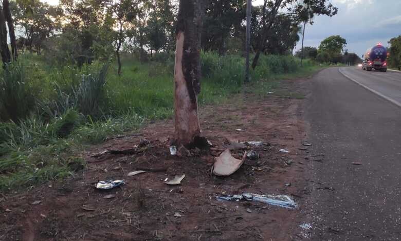 O veículo colidiu violentamente contra a árvore 