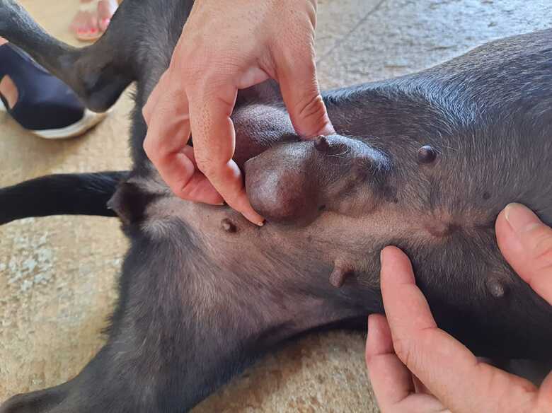 N&oacute;dulos podem surgir por diferentes motivos