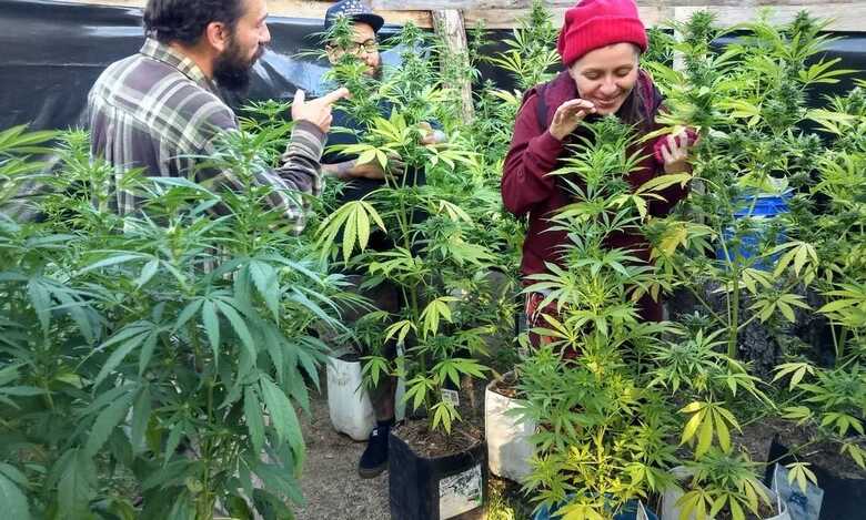 Foto: Ricardo Tolomelli