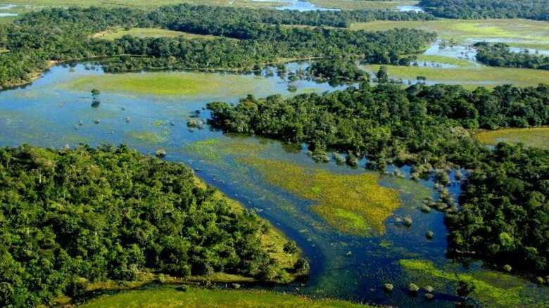 Vista aérea do Pantanal, a maior planície inundada do mundo; bioma é reconhecido pela Unesco como Patrimônio da Humanidade -  