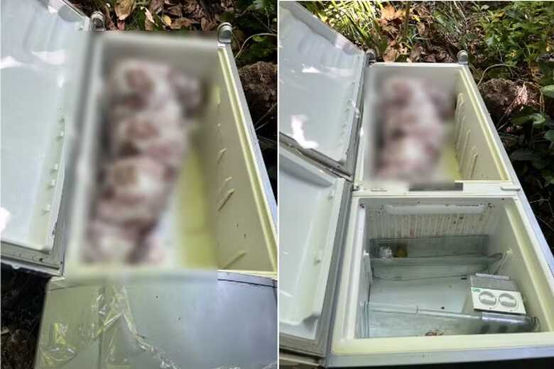 Corpo dentro de geladeira foi achado em área de mata após denúncia 