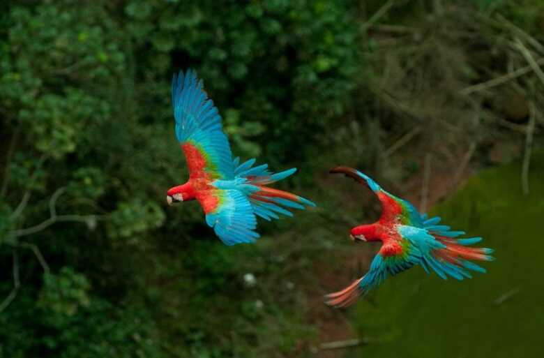 Turismo estadual conquistou dados significativos comparados ao mesmo per&iacute;odo do ano anterior 