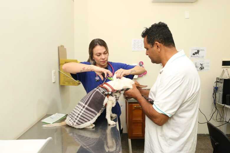 Mutirão de Microchipagem para cães e gatos de Campo Grande