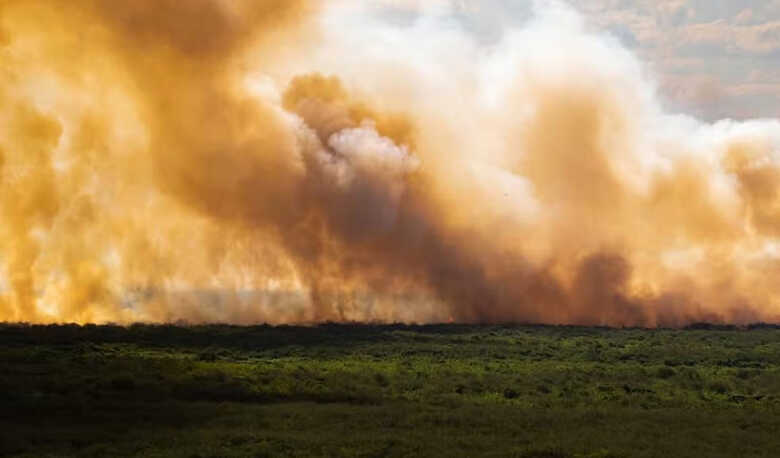 Fogo se espalha durante incêndio no Pantanal, em Corumbá (MS)
