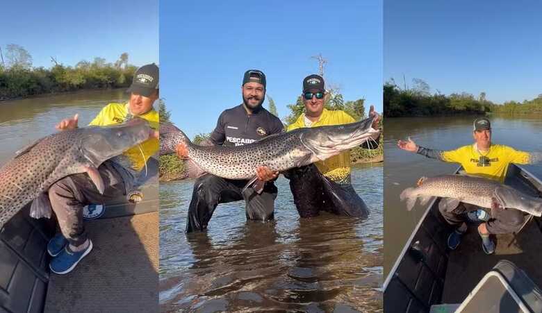 Pescador fisga pintado gigante, no rio Dourados (MS)