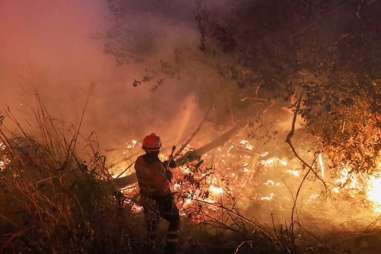 Combate noturno é uma das estratégias do Corpo de Bombeiros