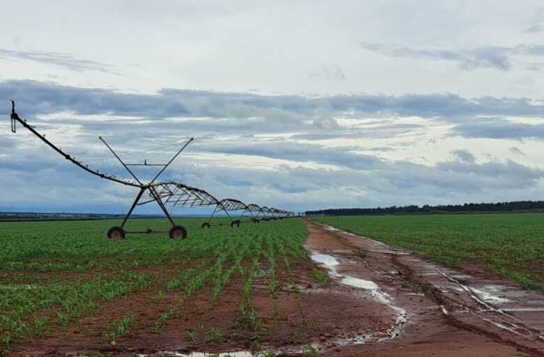 Durante a 7ª reunião ordinária foram aprovadas 110 cartas-consulta para o FCO Empresarial e FCO Rural