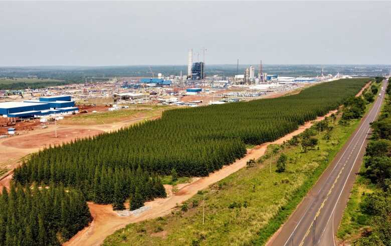 Celulose puxaram a balan&ccedil;a comercial de Mato Grosso do Sul