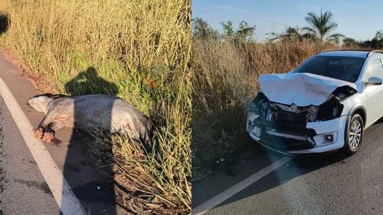 Por sorte, a condutora do carro não teve ferimentos pelo corpo