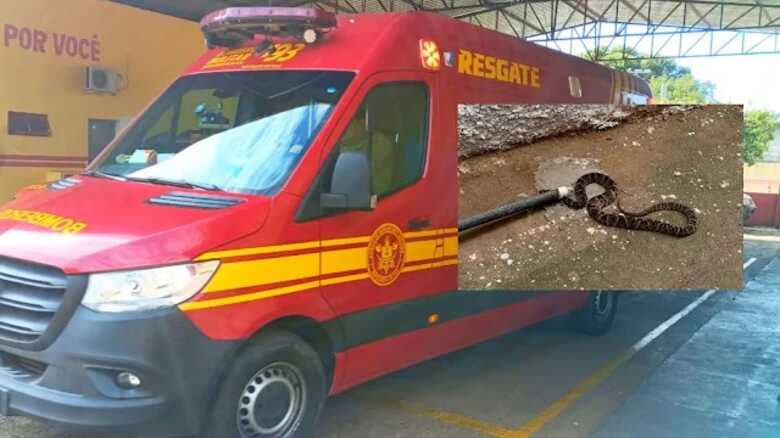 A v&iacute;tima foi socorrida pelo Corpo de Bombeiros de Miranda