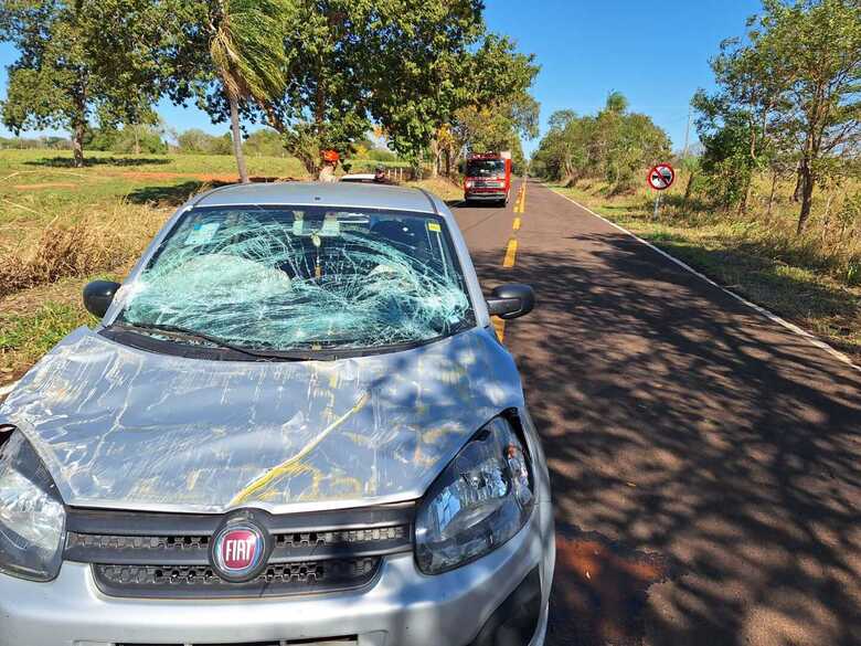 O condutor ficou ferido durante a colisão