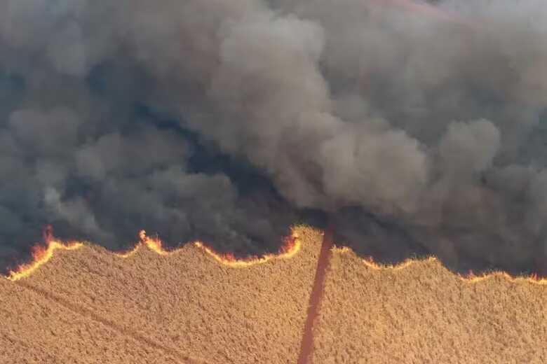 Plantação de cana atingida por incêndio em Dumont (SP)