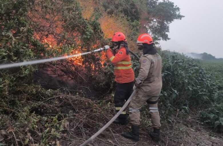 Incêndios florestais em MS