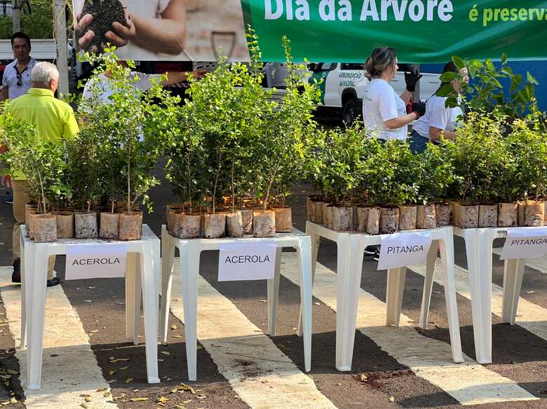 Distribuição de árvores frutíferas