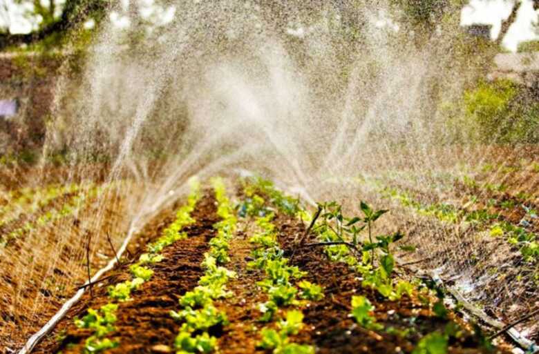 Programa de Residência em Extensão Rural da Agricultura Familiar de Mato Grosso do Sul