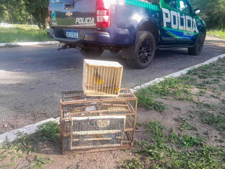 Foto: Polícia Militar Ambiental