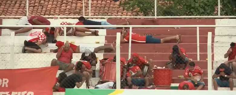 Abelhas invadem estádio, atacam atletas, torcida e arbitragem e paralisam estreia do estadual