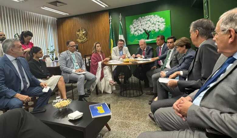 Membros da Bancada Federal de Mato Grosso do Sul