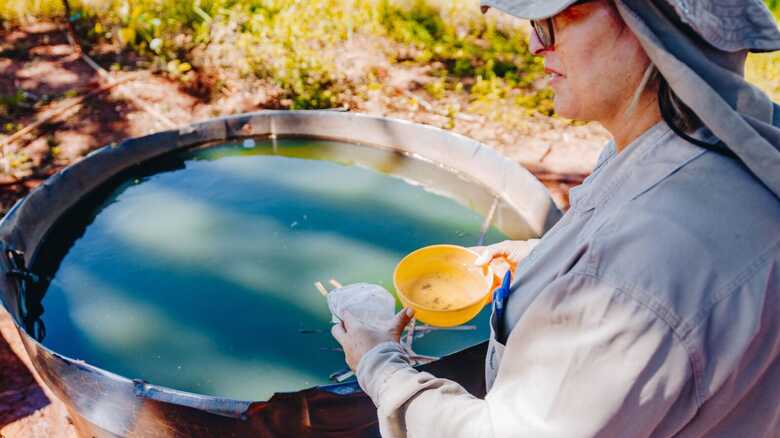 Não deixe água parada