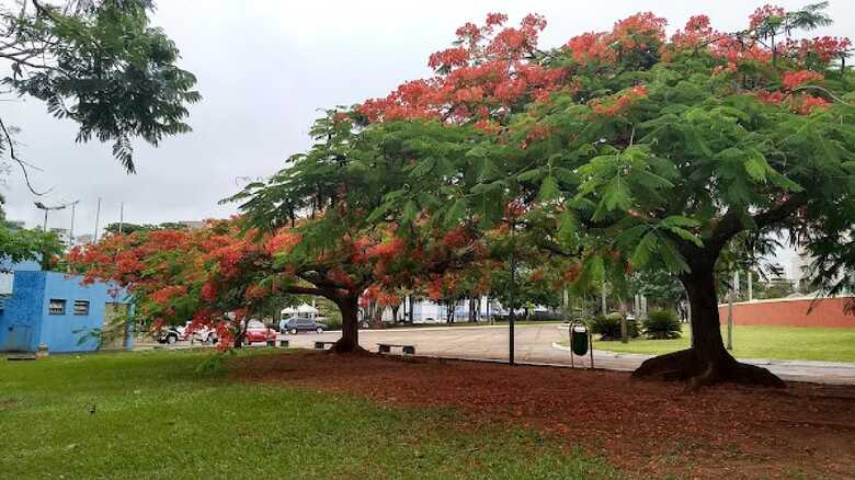 Praça do Rádio Clube, em Campo Grande