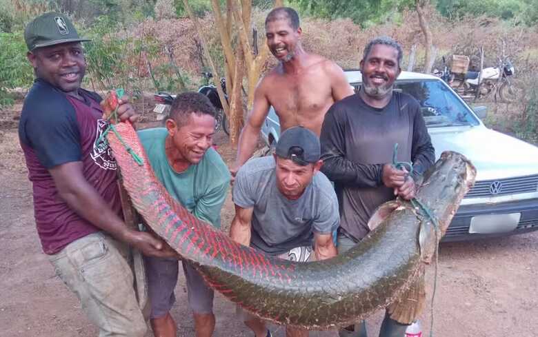 Peixe gigante foi pescado no Rio São Francisco, no interior da Bahia