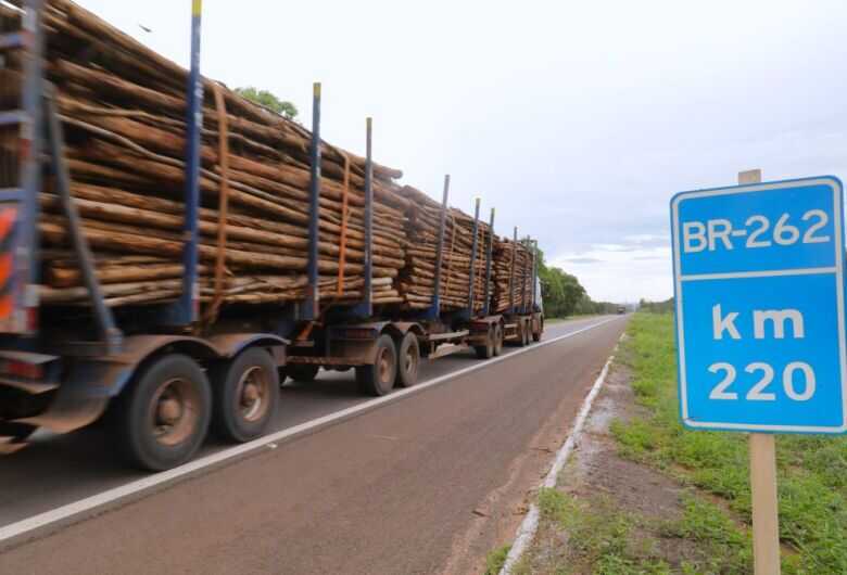 Trecho da MS-040, uma das rodovias estaduais que fazem parte da 'Rota da Celulose'