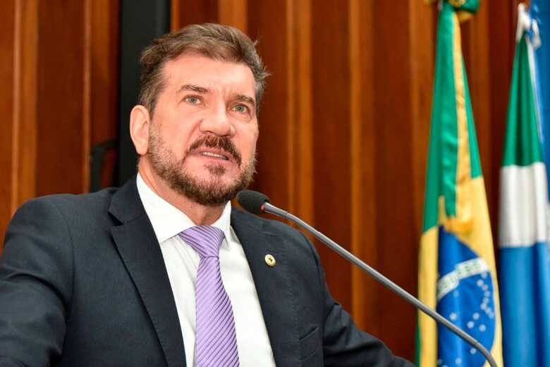 Deputada Estadual Pedro Kemp