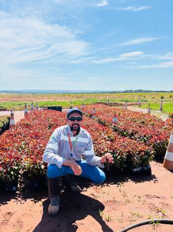 Hélio Rodrigues, técnico de Operações Florestais