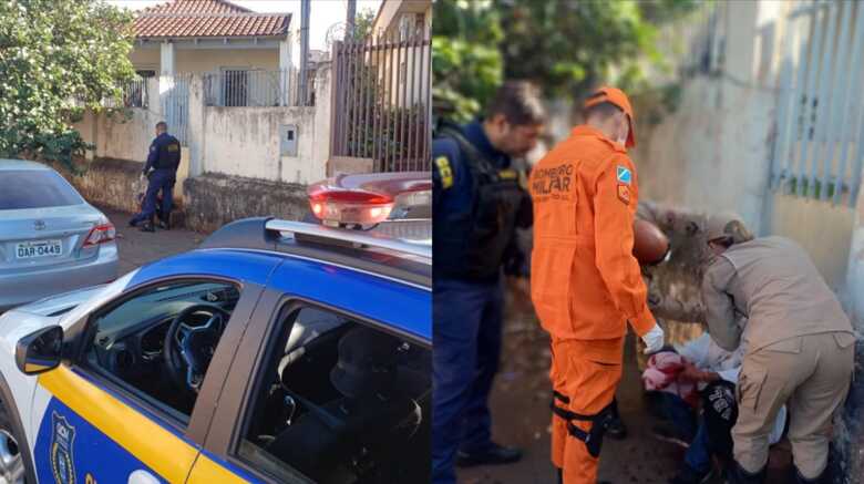 Guardas e Bombeiros realizaram os atendimentos a vítima