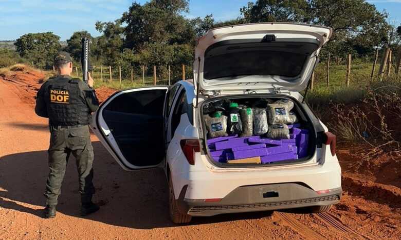 Foto: Divulgação/DOF