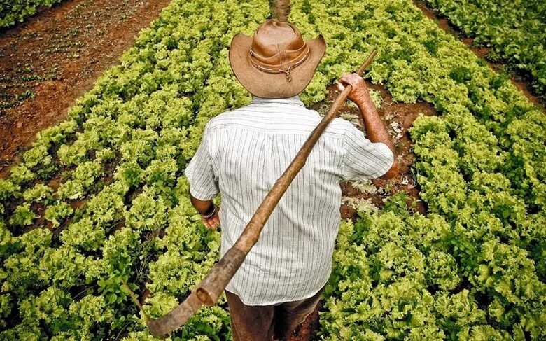 Foto: Comprerural