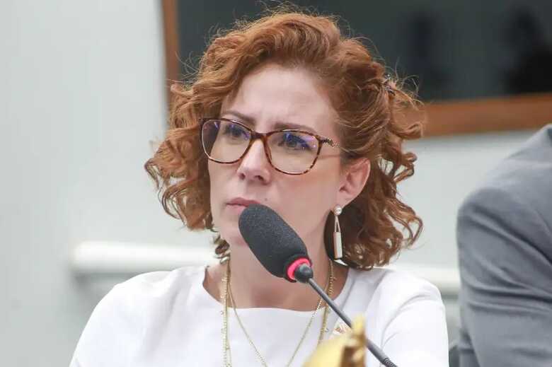 A deputada federal Carla Zambelli (PL-SP) durante sessão na Câmara   
