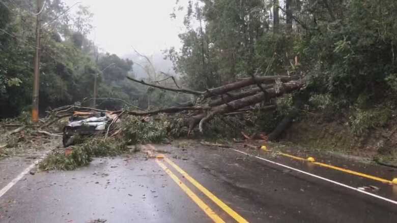Foto: Imagens cedidas/ Juliano Palinha/ Berlinda
