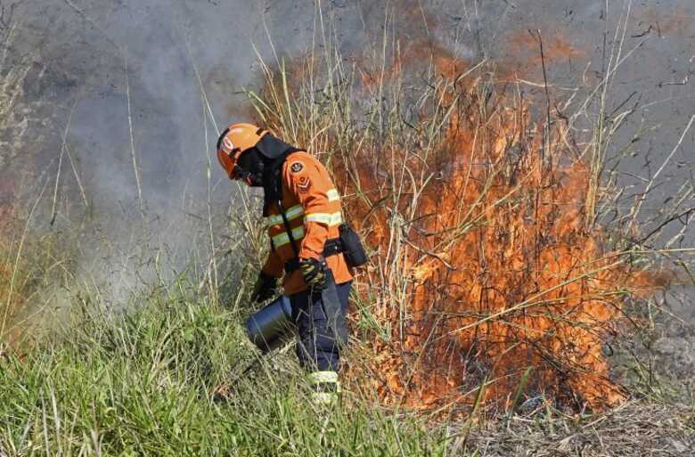 Bruno Rezende/Secom/Arquivo